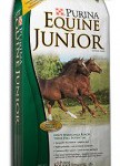 equine jr bag horse feeds