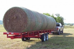 hay and shavings at Farmer's Coop