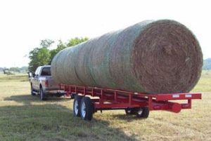 hay and shavings at Farmer's Coop