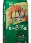 omolene 300 bag horse feeds