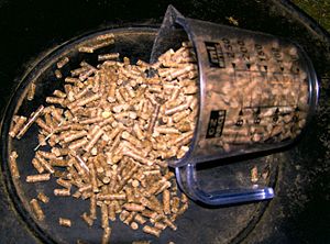 pellet rations for horses, Senior Horse Nutrition