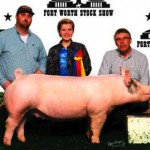 Show Clinic Pig picture