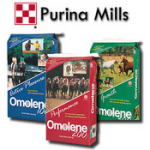 horse feeds