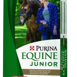 Equine-Junior-Bag