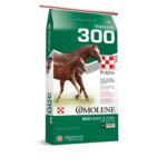 Purina-Omolene-300-Mare-and-Foal-450