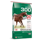 Purina-Omolene-300-Mare-and-Foal-850