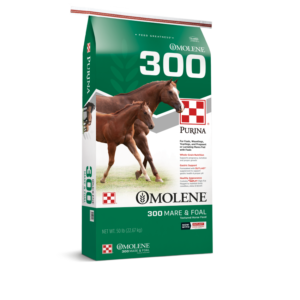 Purina Omolene 300 Horse Feed