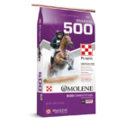 Purina-Omolene-500-Competition-850