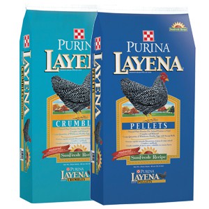 Purina Layena Sunfresh Recipe