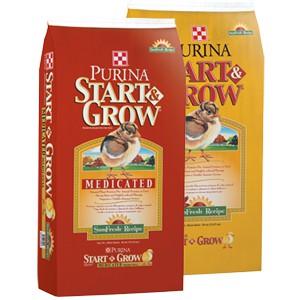 Start And Grow Chicken Feed Bags