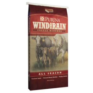 Wind & Rain all season Cattle Feeds