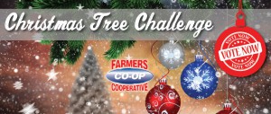 2017 Christmas Tree Challenge Farmers Coop