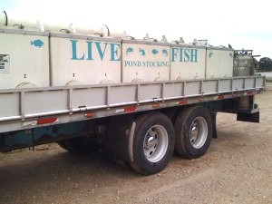 Fish truck for fish truck delivery