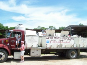 Fish Truck Delivery