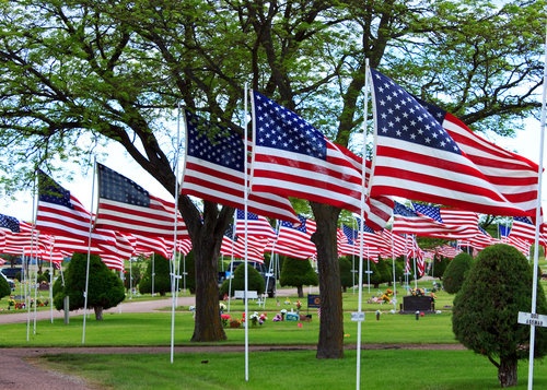 memorial day flags