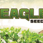 Eagle Seeds