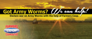 Army Worms help graphic at Farmer's Co-op