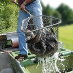 Fish Stock Deliveries At Farmers Coop