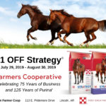 412675 – Strategy Promo-1