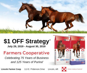 Purina Strategy Horse Feed