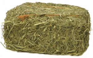 hay bale