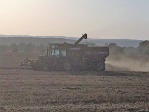 wheat plow in heat Grower Test Plot Results