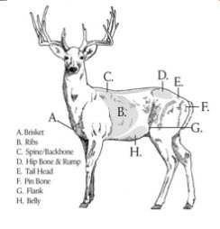 Body Condition Score for Deer