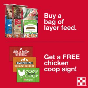 Flocktober specials at Farmer's Co-op