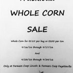 Whole Corn Sale Lin & Fay