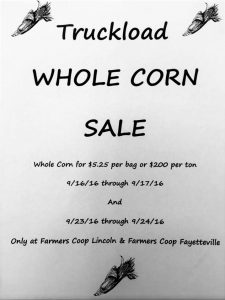 whole corn sale
