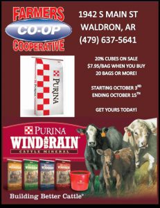 Purina Cattle Cube