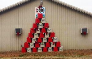 Farmer's Co-op's Christmas tree for the 2017 Christmas Tree Challenge