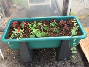 poly bunk feeders at Farmers Coop