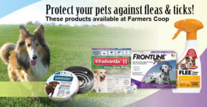 Flea and tick products available at Farmers Coop