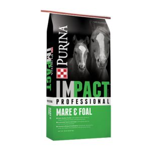 Impact Race Track Textured Horse Feed