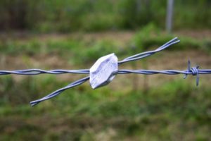 Gripple Barbed Wire Fence at Farmer's Co-op