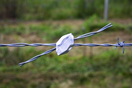 gripple fencing