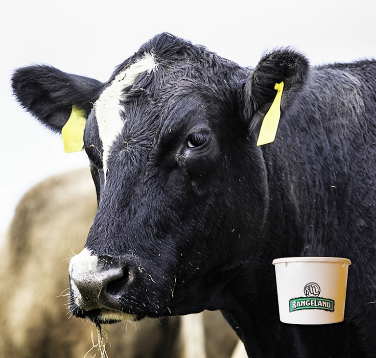 Purina RangeLand Protein Tubs For Supplemental Feeding Farmers Coop