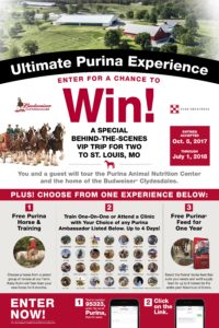 Ultimate Purina Experience flier