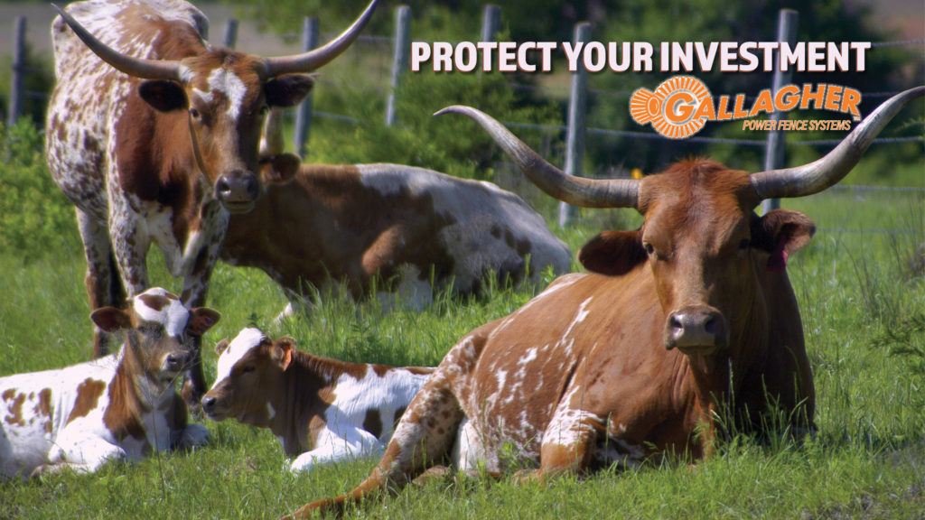 Gallagher Electric Fencing At Farmers Coop Farmer's Coop