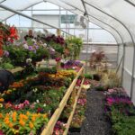 Mena Garden Center | Farmers Co-op