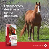 Purina Horse Supplements