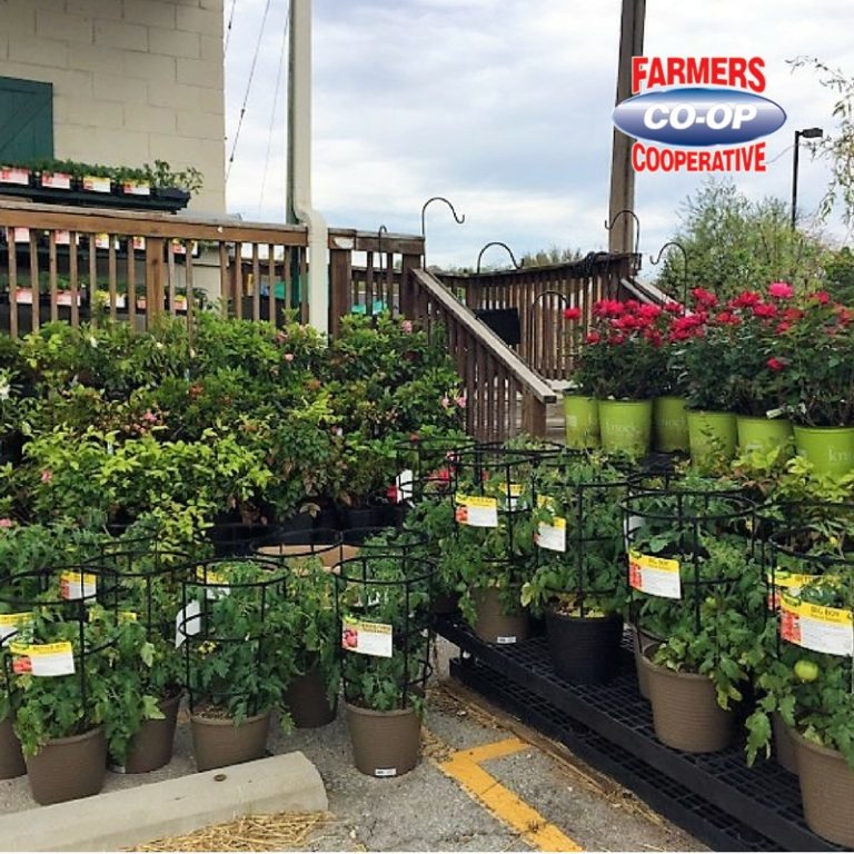 Fayettevilleexterior Farmers Coop