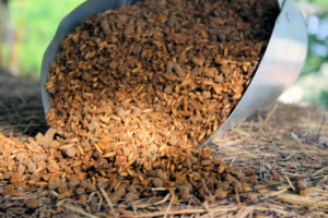 Livestock feed in a large metal scoop.