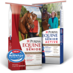 EquineSeniorPairingNov2014-300×272