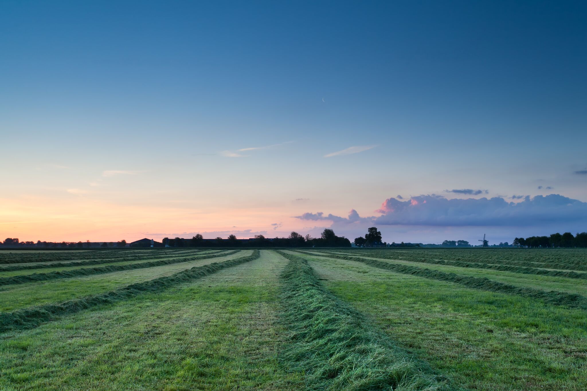 pasture management :: Farmer's Co-op