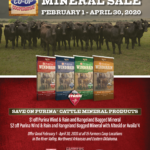 Farmers Coop_Annual Cattle Mineral Sale_Flyer