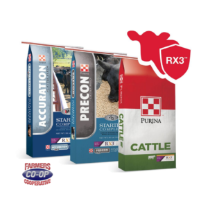 Purina Starter Cattle Feeds with immune support at Farmers Coop.