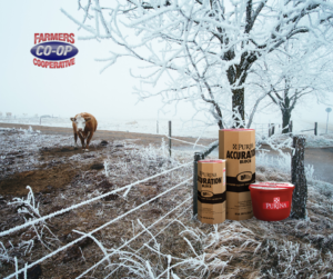 Read our Cattle mineral tips for winter and find out how can you prevent nutrient deficiencies in winter’s cool temperatures.