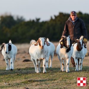 Purina Goat and Lamb Meeting at Farmers Cooperative.